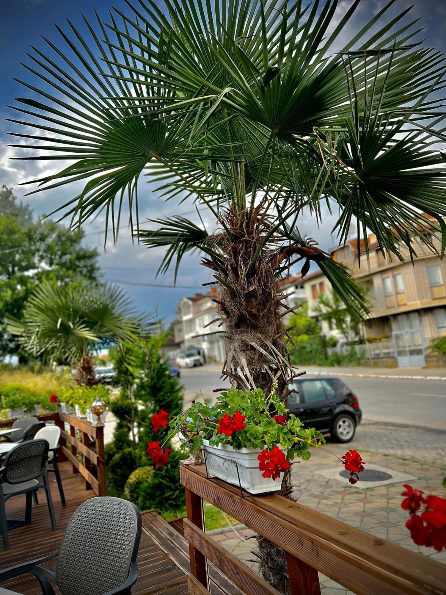 Conti Hotel & Restaurant Gjakova Bagian luar foto